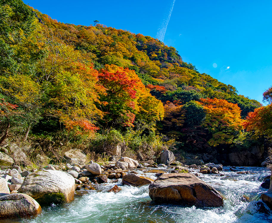 石霞渓の紅葉